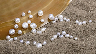 Diverse Range of Organic-Rich Cores in South Sea Non-Bead Cultured “Keshi” Pearls Diverse Range of Organic-Rich Cores in South Sea Non-Bead Cultured “Keshi” Pearls
