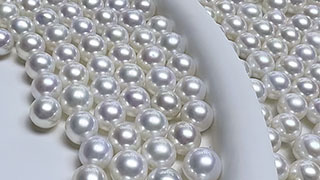 Policy-Driven Sustainability in China’s Freshwater Pearl Culturing Industry Policy-Driven Sustainability in China’s Freshwater Pearl Culturing Industry