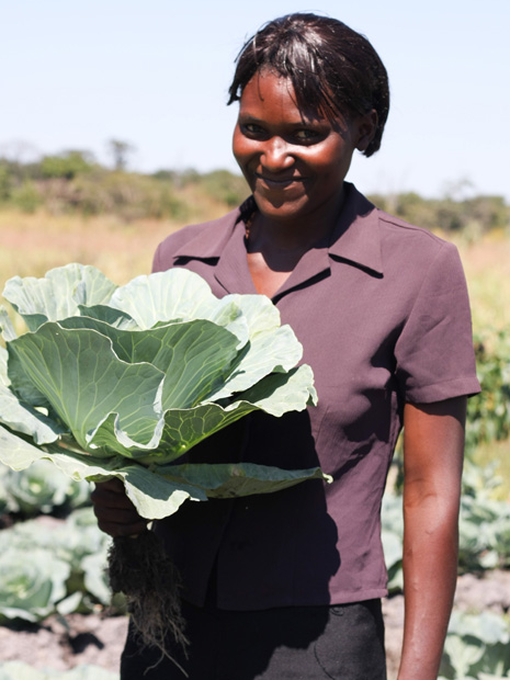 Farming Farming