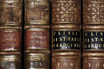 Timeline Event 1987 Library 216x142 Timeline Event 1987 Library 216x142