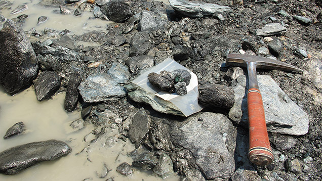 Collecting Samples Collecting Samples