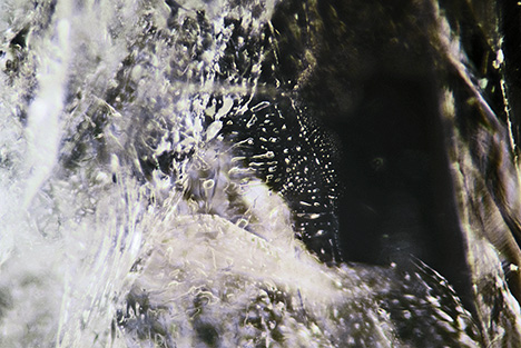 Figure 2. Magnification revealed obvious fluid and two-phase inclusions within the crystals. Photomicrograph by Lai Tai-An Gem Lab; field of view 4.60 mm. Figure 2. Magnification revealed obvious fluid and two-phase inclusions within the crystals. Photomicrograph by Lai Tai-An Gem Lab; field of view 4.60 mm.