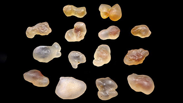 Rough candy agate from the Alxa Plateau of Inner Mongolia. Rough candy agate from the Alxa Plateau of Inner Mongolia.