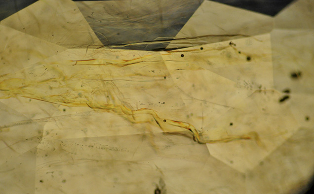4.27 ct sapphire was filled with orangy yellow lead glass 4.27 ct sapphire was filled with orangy yellow lead glass