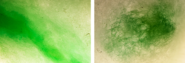 Close-up of natural and dyed areas in jadeite specimen. Close-up of natural and dyed areas in jadeite specimen.