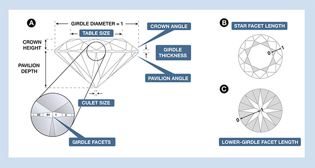 Eight Proportion Parameters Diagram Eight Proportion Parameters Diagram