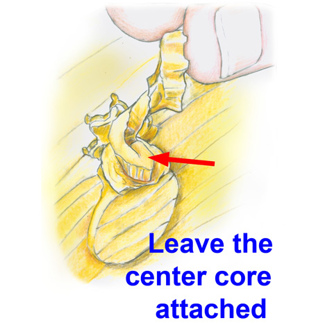 Cut the base of the spiral at the depth of the cut, but leave the center core attached