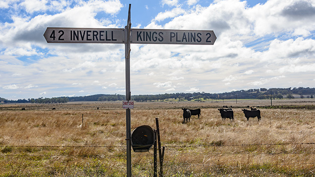 Traffic sign pointing to Kings Plains and the town of Inverell