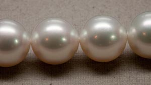 Pearl Colors – The Ultimate Guide to Choosing the Perfect Pearls - Pure  Pearls