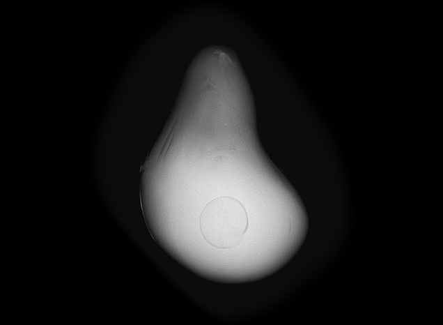 Growth arc surrounding a rounded core is visible.