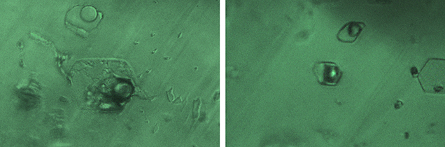 Three-phase inclusions in Swat emerald