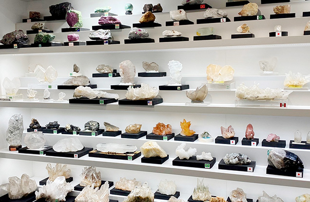 Crystal specimens on display at the GSTV Gem Museum.