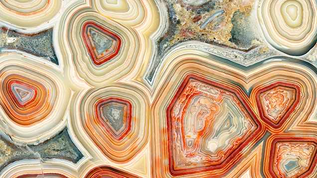 Wallpaper featuring a scan of Mexican quartz agate decorates Level 4 of the San Diego Natural History Museum.