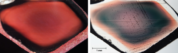 Figure A-2. Sample A110, a copper-diffused feldspar from China, under darkfield (left) and brightfield (right) illumination. The deep red color on the left is the color of the light scattered by the copper nanoparticles (Tyndall effect). The colors on the right are from the light transmitted through the crystal (neither absorbed nor scattered). The red zone on the left perfectly matches the green zone on the right, whereas the red rim on the right is almost invisible on the left. This means the green color is mainly produced by the scattering of red light, while the red color is mostly from the absorption of the copper particles. Photos by Shiyun Jin; field of view 7.1 mm.