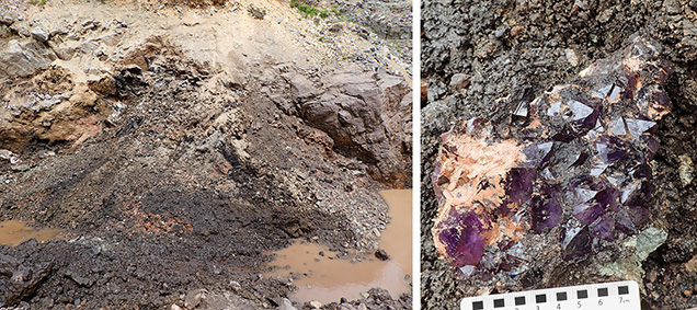 Figure 3. Left: The trench face in the main zone (in 2021) showing amethyst-bearing black mud in front of the vein’s hanging wall. Right: Freshly recovered amethyst cluster in black and tan mud. Many clusters are completely obscured by the thick black to brown clay. Photos by Philippe Belley.