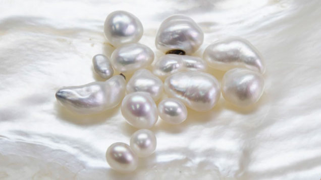 Non-Bead Cultured Pearls: From Farm to Market