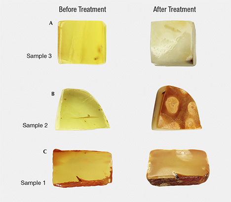 Amber samples before and after hydrothermal treatment