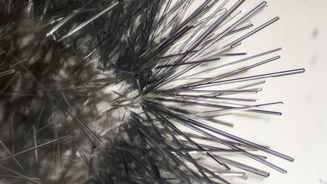 Dumortierite needles in quartz