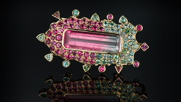 Bicolor Tourmalines Pin 