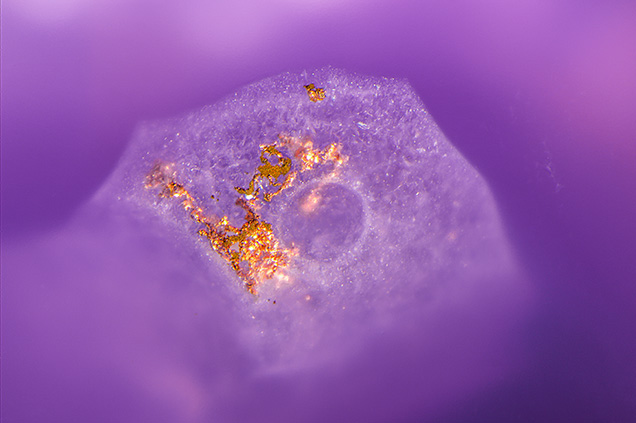 Native copper inclusions in purple chalcedony.