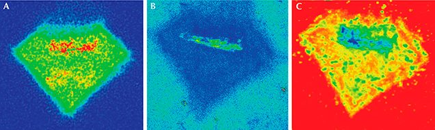 Photoluminescence maps of the diamond-shaped cloud inclusion.