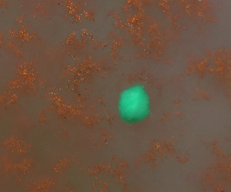 Dendritic inclusions in this agate surround a blue-green spherical inclusion.