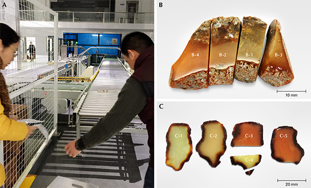 Amber undergoing irradiation treatment to improve its color.