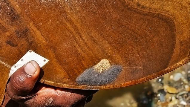 Colombian miner holds wooden batea showing gold and black sands separated.