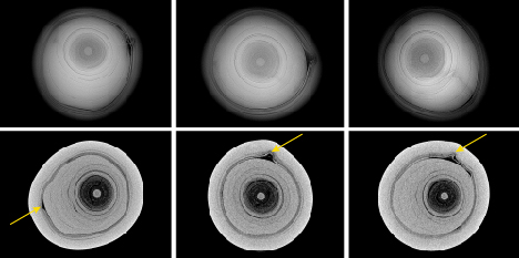 Figure 2. Top: RTX images in three directions of the non-bead cultured pearl used as a “bead” with a distinct demarcation and an organic tail-like feature in pearl A. Bottom: μ-CT scans of pearl A. The tail feature is indicated by a yellow arrow.