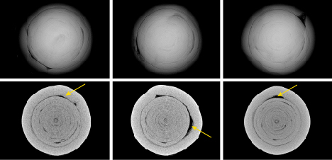 Figure 3. Top: RTX images in three directions of a natural pearl used as a “bead” with a clear demarcation and an organic tail-like feature in pearl B. Bottom: μ-CT scans of pearl B. The tail feature is indicated by a yellow arrow.