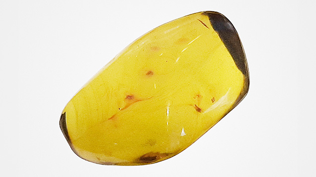 Figure 1. This clean piece of tumbled green amber from Ethiopia, measuring approximately 5.5–6.0 × 2.8–3.5 cm, displays flow structures and some inclusions. Photo by Cristiano Brigida; courtesy of Rainbow King Solomon Mines.