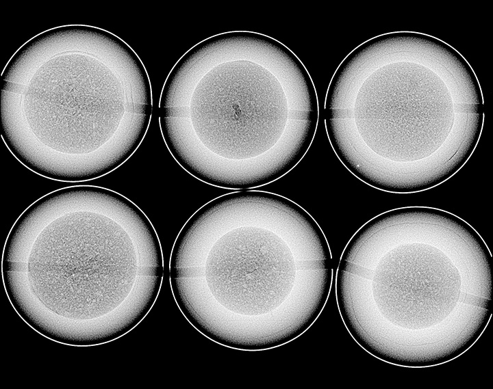 Large Freshwater Cultured Pearls with Atypical Bead Nuclei