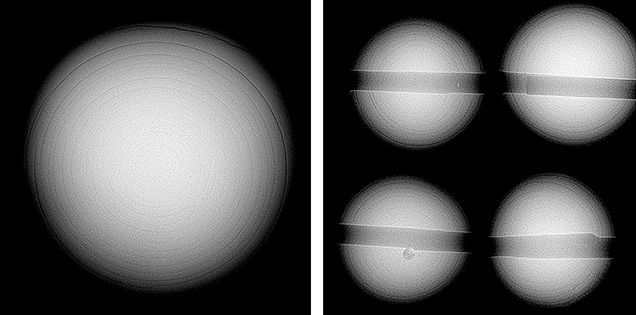 Figure 4. RTX images revealed concentric growth rings typical of the internal structure commonly observed in windowpane oyster pearls.