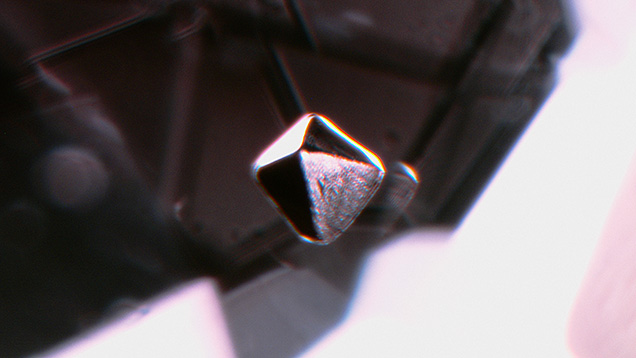 An octahedral fluorite crystal in a 1.25 ct Brazilian alexandrite. Photomicrograph by Hikaru Sato; field of view 2.37 mm.