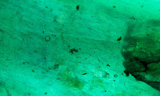 Figure 4. Gas bubbles and bluish green dye concentrations indicate that this “crystal” is in fact a manufactured product. Photomicrograph by Abadie Ludlam; field of view 8.23 mm.