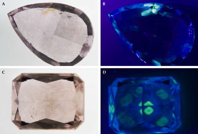 Fancy brownish pink pear and rectangular diamonds, each weighing 0.25 ct, shown in diffused light (A and C) and in long-wave UV light (B and D). Photos by Shiva Sohrabi.