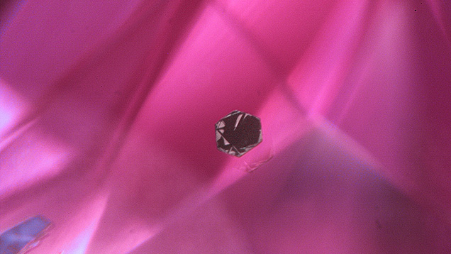 This pristine hexagonal platelet of graphite was seen in a pink sapphire from Sri Lanka. Photomicrograph by Jeffrey Hernandez; field of view 1.99 mm.