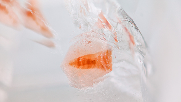 Figure 2. Magnification of pinkish orange triplite in a transparent quartz from Yaogangxian in Hunan Province, China. Photomicrograph by Hongtao Shen; field of view 11.15 mm.