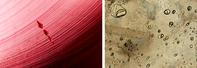 Figure 5. Left: Typical inclusions in flame-fusion rubies include curved striae and gas bubbles. Photomicrograph by Nathan Renfro; field of view 3.59 mm. Right: Melt-related natural gemstones may have melt inclusions with a composition different from that of the natural host, such as these silicate melt inclusions in a Montana sapphire. Photomicrograph by Aaron Palke; field of view 0.71 mm.