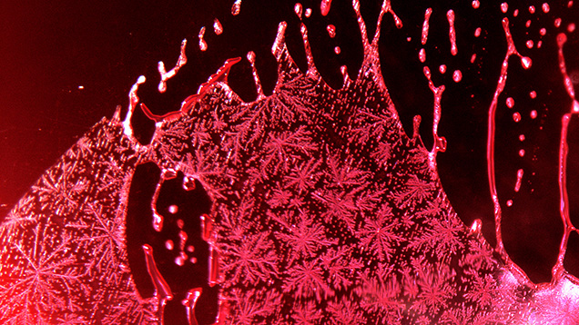 Figure 9. Partially healed fracture in a Mong Hsu ruby heated in the presence of a flux. The flux has infiltrated the fracture, partially recrystallizing the ruby and leaving behind a residue. Because the flux used to treat natural gemstones is similar to that used to produce flux-grown synthetic ruby, these types of inclusions can look similar. Photomicrograph by Nattida Ng-Pooresatien; field of view 1.3 mm.