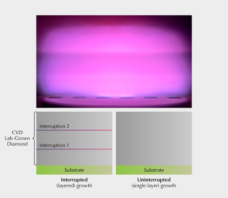 Figure 4. Top: CVD-grown diamond manufacturers grow diamond crystals using seeds (or substrates), a predetermined gas mixture, and plasma of extremely high temperature. Photo courtesy of Clarity Diamond. Bottom: Both interrupted and uninterrupted growth are applied in the industry, and each has advantages and unique challenges. Clarity Diamond uses the uninterrupted method, resulting in CVD-grown diamonds without growth lines, as displayed in this illustration.