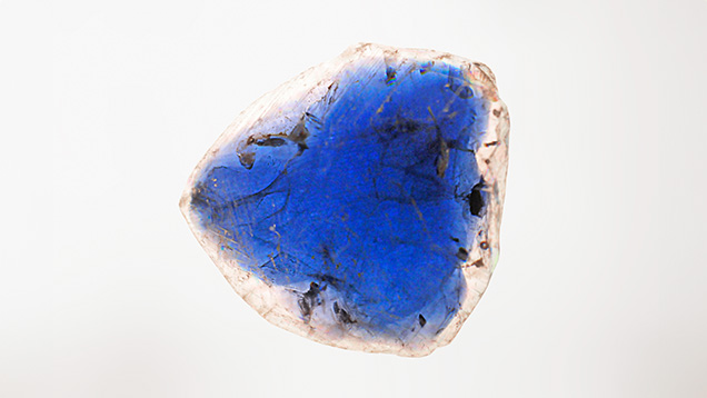 Figure 3. Viewed in immersion, the flux-grown sapphire crystal exhibited strong color zoning, with a deep blue center and a rim that appeared colorless. Photo by Gagan Choudhary.