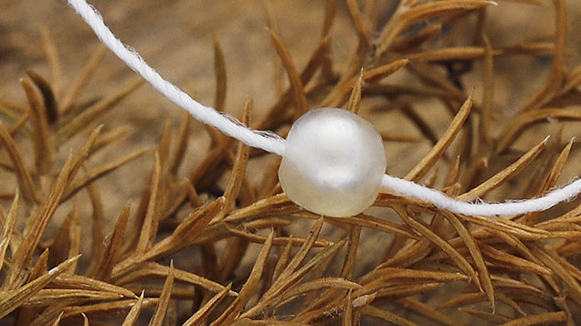 Figure 1. A white saltwater natural calcite pearl weighing approximately 0.12 ct and measuring 2.55 mm in diameter. Photo by Gaurav Bera.