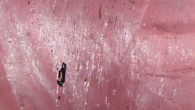 Figure 3. Light reflects off densely packed silk, needles, and particles to create the cat’s-eye effect. Photomicrograph by Courtney Robb; field of view 1.31 mm.