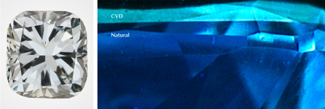 Figure 13. Left: This 0.64 ct Fancy grayish greenish blue stone proved to be a hybrid. Photo by Robison McMurtry. Right: The majority of the sample is natural type Ia diamond, causing a deep blue fluorescence, but boron in the CVD overgrowth layer creates its greenish blue fluorescence.