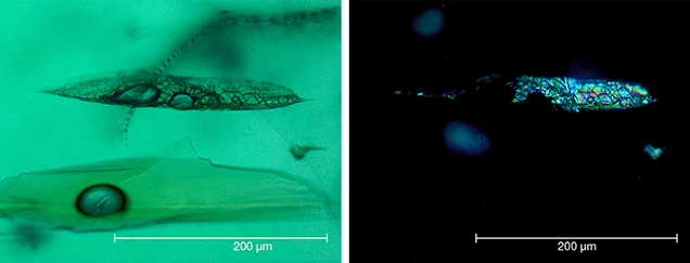 Residual flux in Nacken synthetic emerald