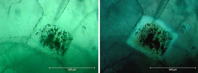 Inclusions of beryl crystals in Nacken synthetic emerald