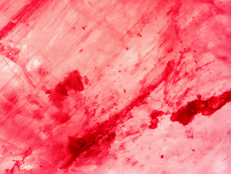 Figure 5. Color concentration within surface-reaching fractures confirmed dye treatment in the spodumene. Photomicrograph by Guy Borenstein; field of view 2.66 mm.