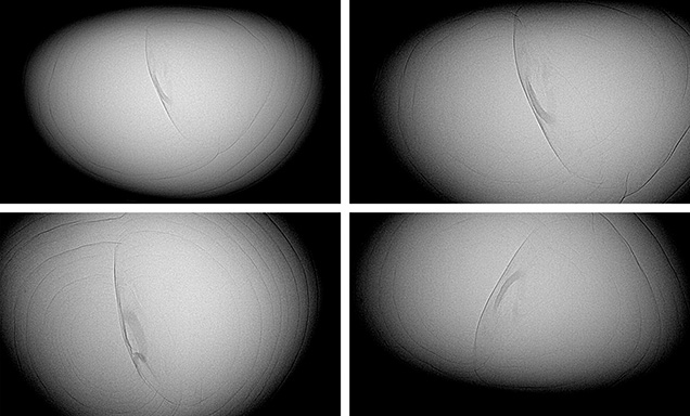 Figure 3. RTX examination revealed a clear boundary running across the pearl as well as structures associated with natural formation. Images by Cheryl Ying Wai Au.