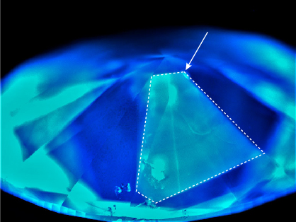 Figure 2. DiamondView imaging of the type IaB diamond reveals a fibrous pattern and a hazy triangular cloud area with blue fluorescence. Image by Aprisara Semapongpan.